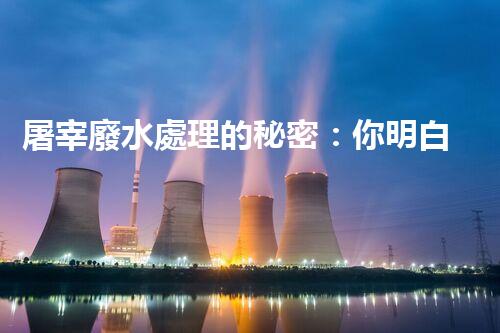 屠宰廢水處理的秘密：你明白那些污水如何變清？